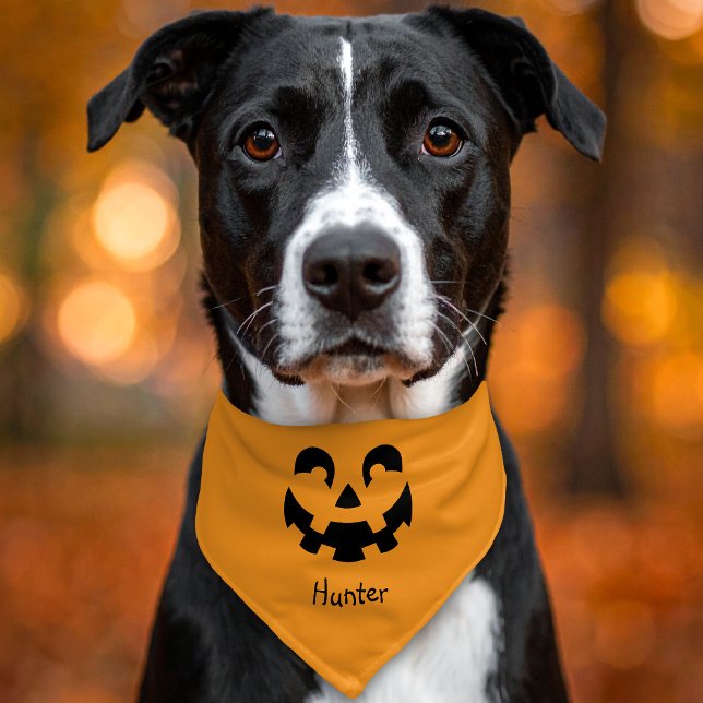 Smiling Pumpkin Jack O Lantern Face Halloween Pet Bandana Collar (Creator Uploaded)