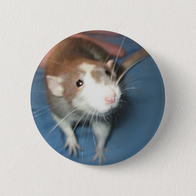 SMILING RAT PIN/ BUTTON (Front)