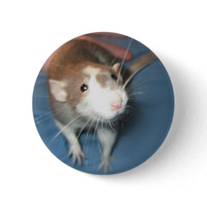 SMILING RAT PIN/ BUTTON