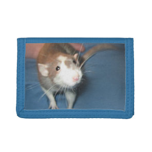 SMILING RAT WALLET