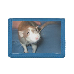 SMILING RAT WALLET