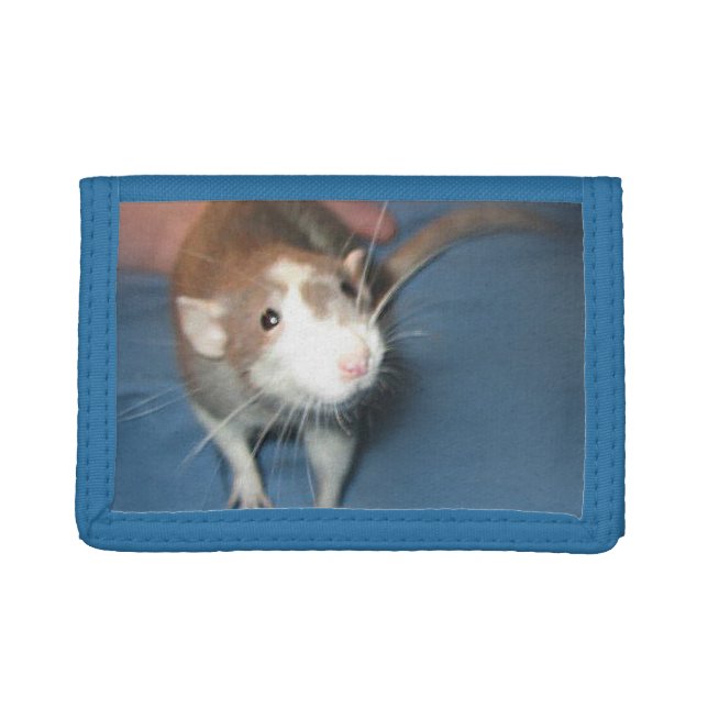 SMILING RAT WALLET (Front)