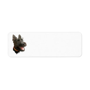 Smiling Scottish Terrier Label