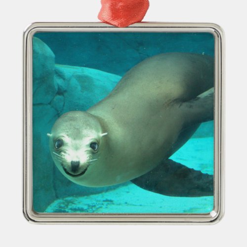 Smiling Sea Lion _ Saint Louis Zoo Metal Ornament