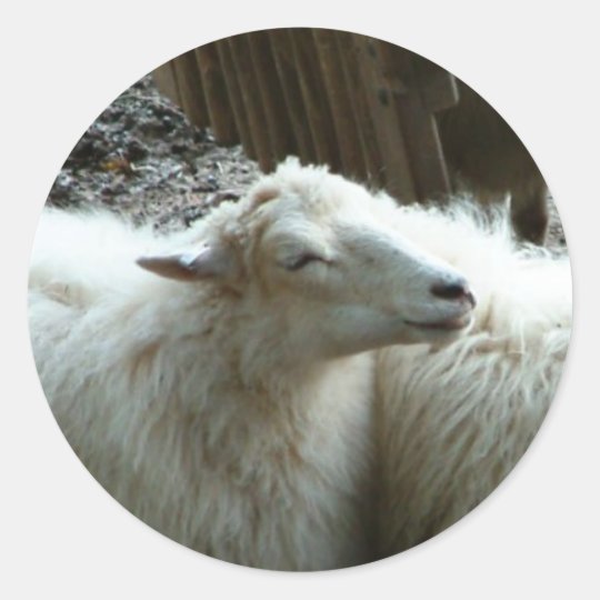 Smiling Sheep Classic Round Sticker