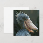 Smiling Shoebill (Front/Back)
