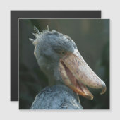 Smiling Shoebill (Front/Back)