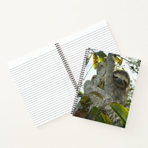 Smiling Sloth 85 x 11 Spiral Notebook