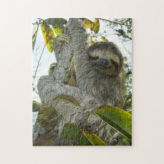 Smiling Sloth Puzzle with Gift Box (Vertical)