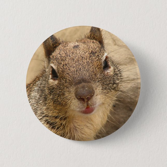 Smiling Squirrel button (Front)