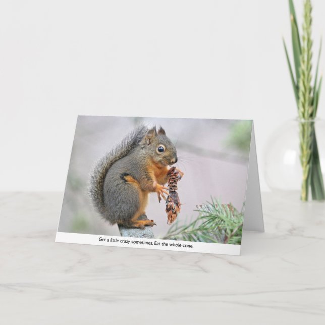 Smiling Squirrel Eating Pine Cone Card (Front)