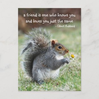 Smiling Squirrel Friendship Quote Postcard by Meg_Stewart at Zazzle