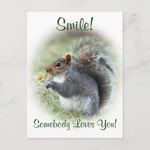 Smiling Squirrel Loves You Postcard