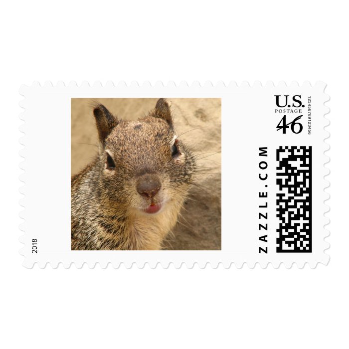 Smiling Squirrel stamp 1