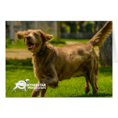 Smiling Stackhouse (Front Horizontal)