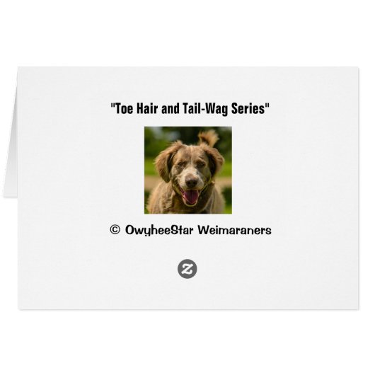Smiling Stackhouse Cards (Back Horizontal)