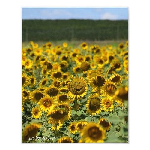 Smiling Sunflower _ 11x14 Photo Print