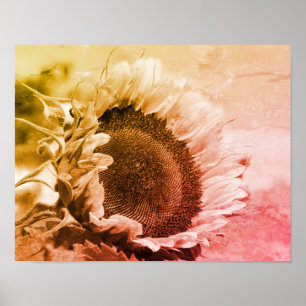 Smiling Sunflower Black And White Distressed Poster