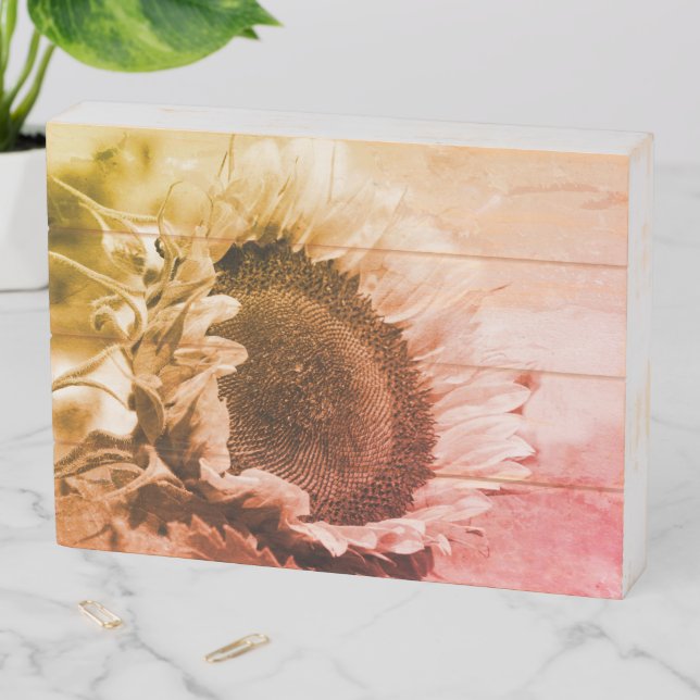 Smiling Sunflower Black And White Distressed   Wooden Box Sign (In Situ Horizontal)