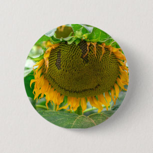 Smiling Sunflower Button