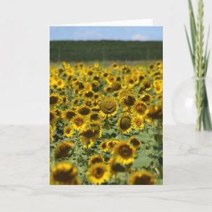 Smiling Sunflower - Encouragement Greeting Card