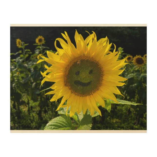 Smiling Sunflower Wood Wall Art (Front)