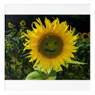 Smiling Sunflower Wood Wall Art