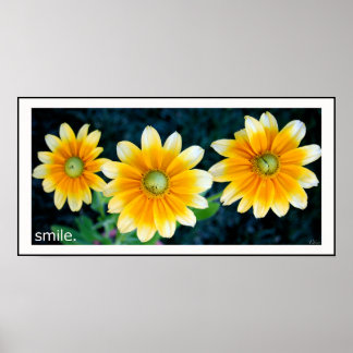 Smiling Sunflowers Poster