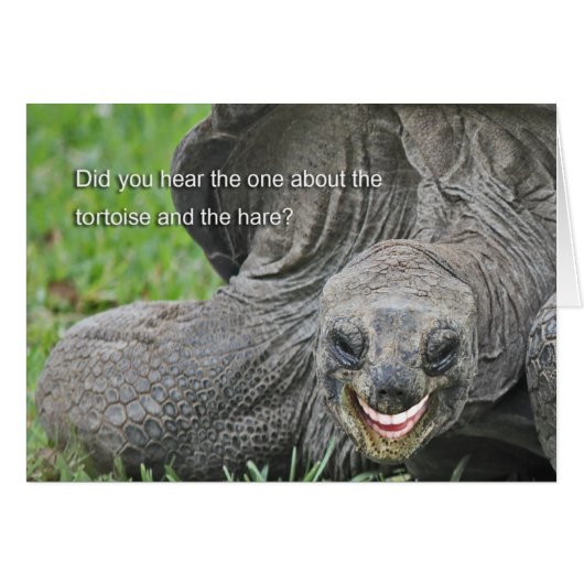 Smiling Tortoise Joke Cards (Front Horizontal)
