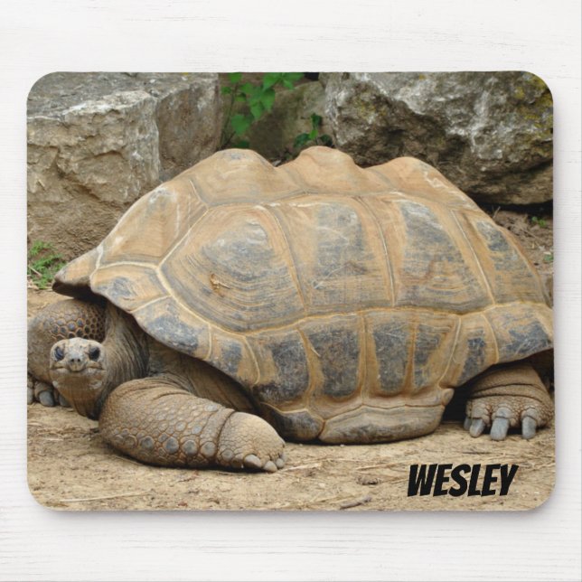 Smiling Tortoise  Mouse Pad (Front)