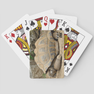 Smiling Tortoise Poker Cards