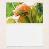 Smiling Tree Frog Pink Lily (Front & Back)