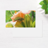 Smiling Tree Frog Pink Lily (Desk)