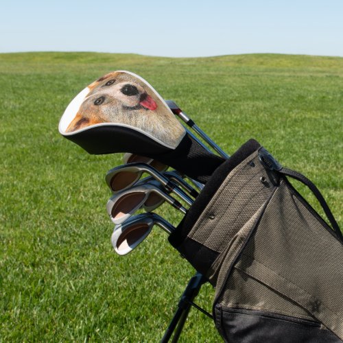 Smiling Welsh Corgi Pembroke Dog Golf Head Cover