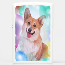 Smiling Welsh Corgi with Balloons