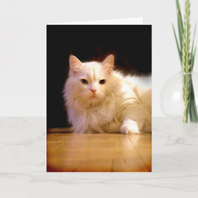 Smiling white cat greeting card (Front)