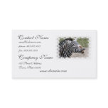 Smiling Zebra Business Card