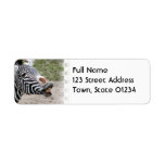 Smiling Zebra Mailing Label