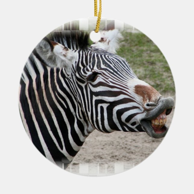 Smiling Zebra Ornament (Front)