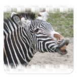 Smiling Zebra Stickers