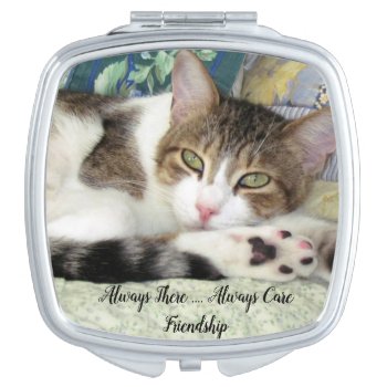 Smirnoff The Cat's Friendship - Compact Mirror by CatsEyeViewGifts at Zazzle