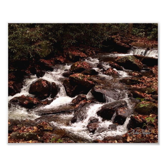 Smith Creek Photo Print (Front)