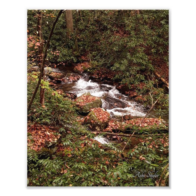 Smith Creek Photo Print (Front)