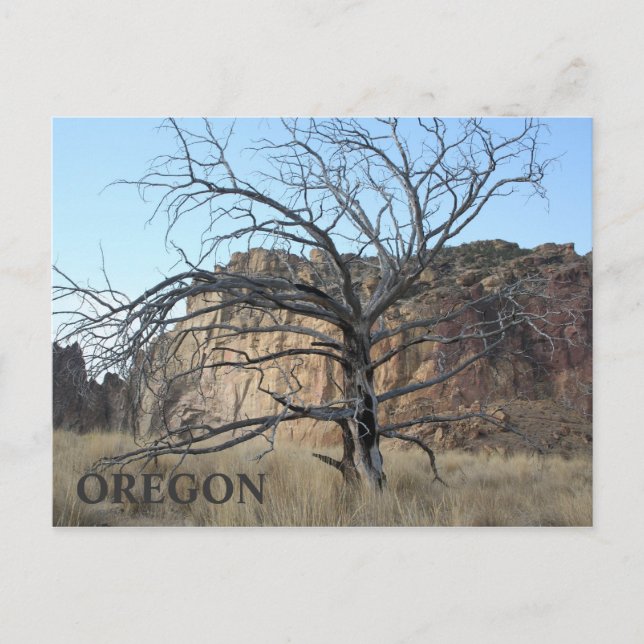 Smith Rock Rocks Postcard (Front)