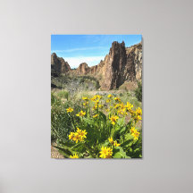 Smith Rock State Park in Spring