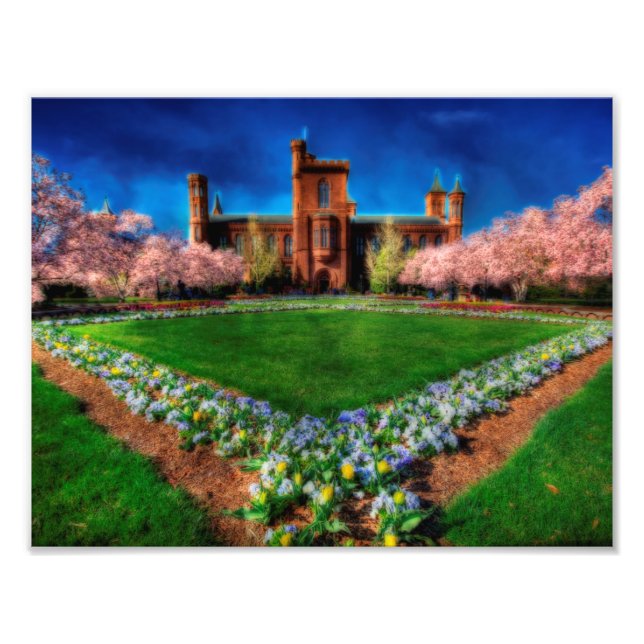 Smithsonian Castle Garden Cherry Blossoms Photo Print (Front)