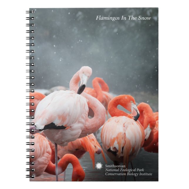 Smithsonian | Flamingos In The Snow Notebook (Front)