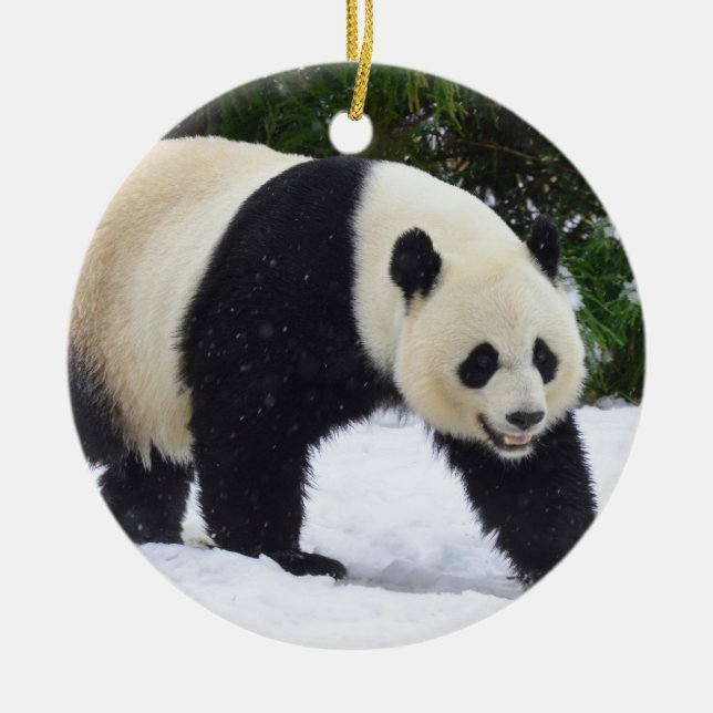 Smithsonian | Giant Pandas In The Snow Ceramic Ornament (Front)