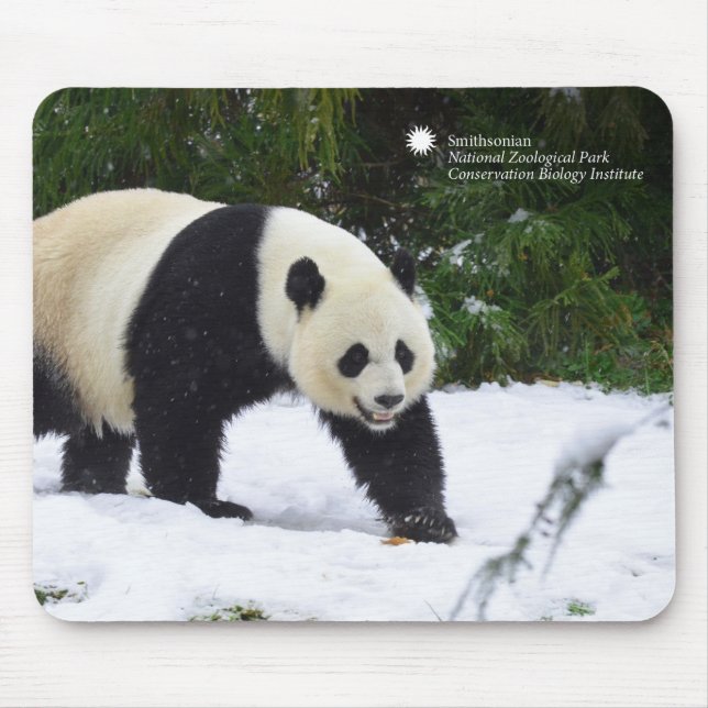Smithsonian | Giant Pandas In The Snow Mouse Pad (Front)
