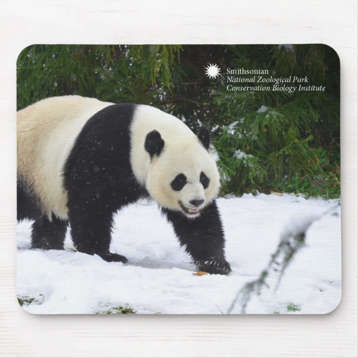 Smithsonian | Giant Pandas In The Snow Mouse Pad | Zazzle